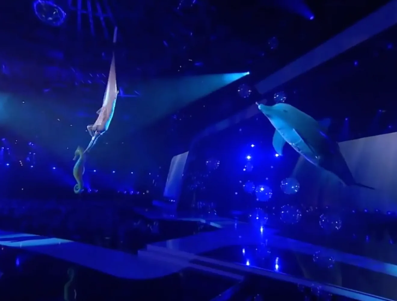 flying_dolphins_img_1_airstage Kopie