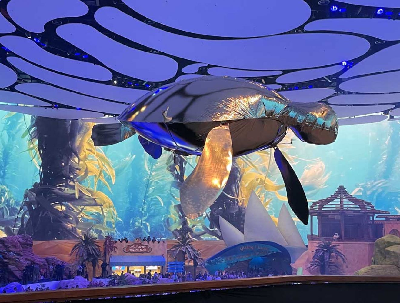 seaworld_dolphins_img_5_airstage