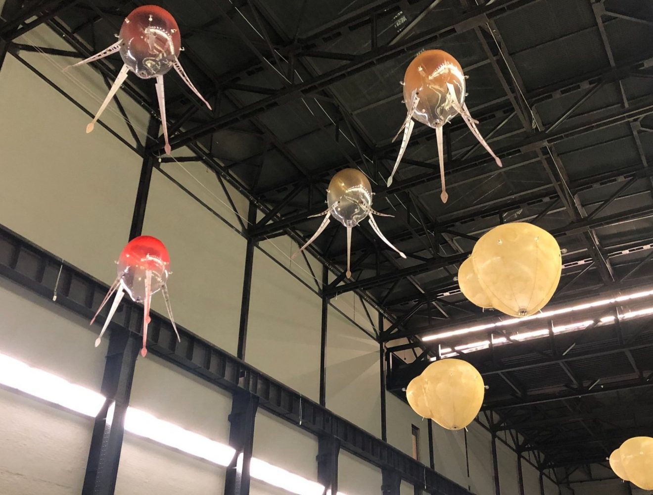 tate_autonomous_aerobes_img_6_airstage