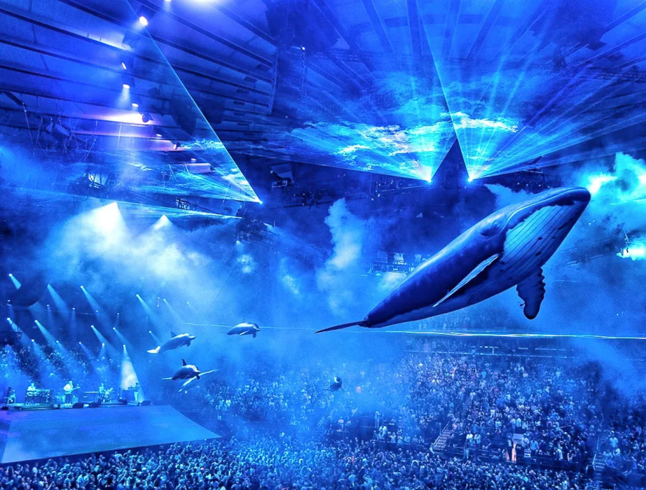 whale_phish_img_1_airstage Kopie